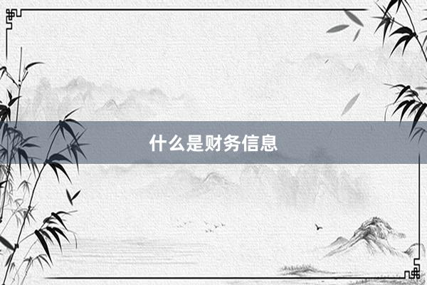 什么是财务信息